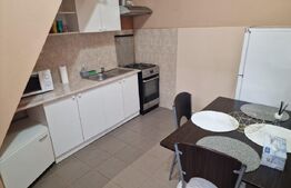 Apartament cu o camera, 40 mp, zona Centrala