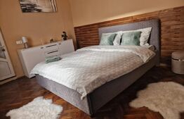 Apartament cu o camera, 40 mp, zona Centrala