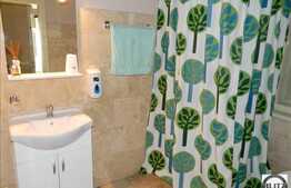 Inchiriere spatiu 50 mp zona Republicii