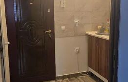 Apartament 1 camera, 27 mp, pet friendly, zona Bulgaria