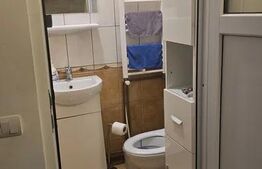 Apartament 1 camera, 27 mp, pet friendly, zona Bulgaria