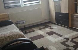 Apartament 1 camera, 27 mp, pet friendly, zona Bulgaria