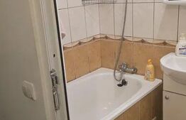 Apartament 1 camera, 27 mp, pet friendly, zona Bulgaria