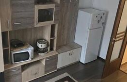 Apartament 1 camera, 27 mp, pet friendly, zona Bulgaria