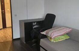 Apartament 1 camera, 27 mp, pet friendly, zona Bulgaria