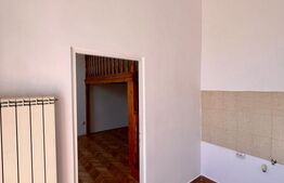 Apartament de vanzare, 26 mp, zona Gruia