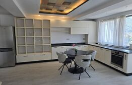 Apartament 2 camere, 60 mp, terasa 40 mp, zona Ultracentral 