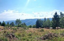 Teren 6682 mp cu panoramă superbă, parcelabil | Măguri-Răcătău
