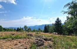 Teren 6682 mp cu panoramă superbă, parcelabil | Măguri-Răcătău