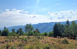 Teren 6682 mp cu panoramă superbă, parcelabil | Măguri-Răcătău