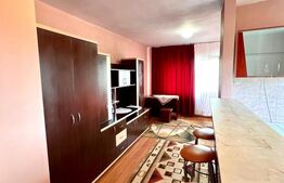 Apartament cu o camera, 27,17 mp, Calea Turzii