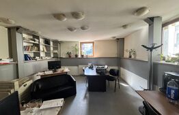 Apartament versatil: locuință sau birou, pe 2 niveluri, 72 mp, Ultracentral