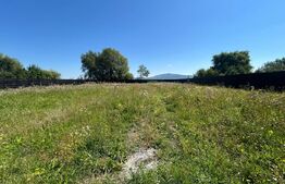 Teren ingradit si casa la rosu