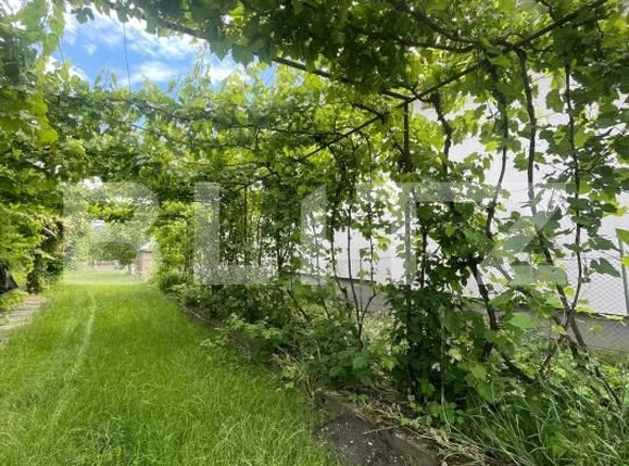 Casa de închiriat 3 camere Viisoara - 202305CI | BLITZ Cluj-Napoca | Poza7