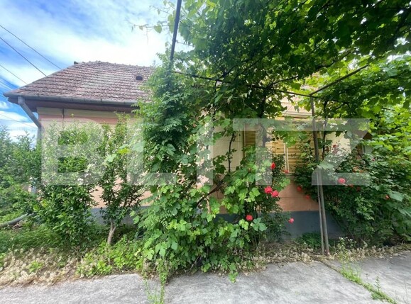 Casa de închiriat 3 camere Viisoara - 202305CI | BLITZ Cluj-Napoca | Poza2