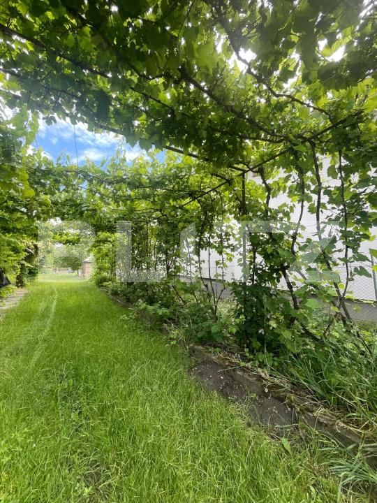 Casa de închiriat 3 camere Viisoara - 202305CI | BLITZ Cluj-Napoca | Poza7