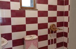 Casa individuala cu 2 camere de inchiriat, 90 mp , Campia Turzii