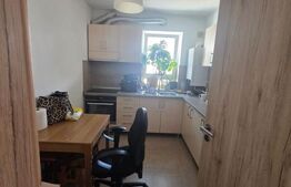 Apartament 2 camere, 55 mp, parcare, cartier Tractoru