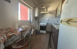 Apartament 1 cameră, 42 mp, zona The Office