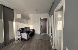 Apartament 1 cameră, 39 mp, zona Teilor