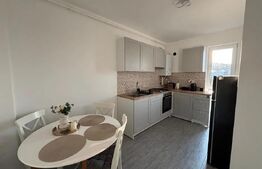 Apartament 1 cameră, 39 mp, zona Teilor