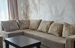 Apartament cu 2 camere decomandat, Zorilor.