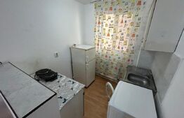 Garsonieră de închiriat, 25 mp, zona Mărăști