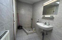 Garsonieră de închiriat, 25 mp, zona Mărăști