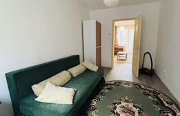 Apartament 2 camere, 46 mp, zona AFI