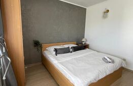 Pensiune de inchiriat, 228 mp, zona Predeal