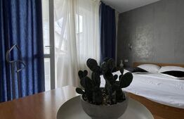 Pensiune de inchiriat, 228 mp, zona Predeal
