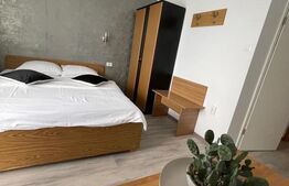 Pensiune de inchiriat, 228 mp, zona Predeal