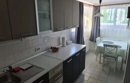 Garsonieră de inchiriat, 45 mp, zona Astra