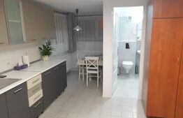 Garsonieră de inchiriat, 45 mp, zona Astra