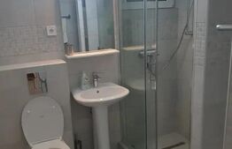 Garsonieră de inchiriat, 45 mp, zona Astra