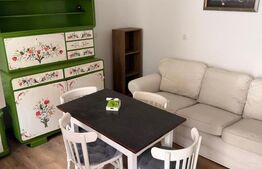 Proprietate cu două case renovate, în inima comunei Vulcan