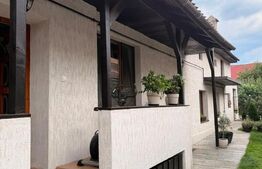 Proprietate cu două case renovate, în inima comunei Vulcan