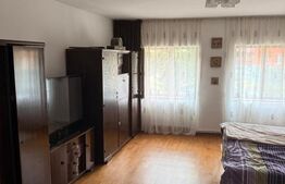 Proprietate cu două case renovate, în inima comunei Vulcan