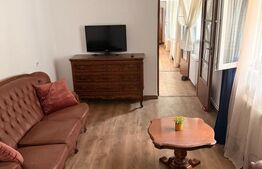 Proprietate cu două case renovate, în inima comunei Vulcan
