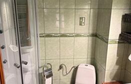 Proprietate cu două case renovate, în inima comunei Vulcan