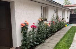 Proprietate cu două case renovate, în inima comunei Vulcan