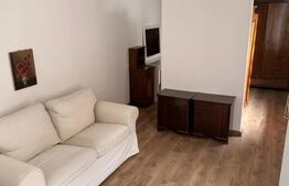 Proprietate cu două case renovate, în inima comunei Vulcan
