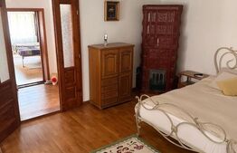 Proprietate cu două case renovate, în inima comunei Vulcan
