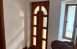 Proprietate cu două case renovate, în inima comunei Vulcan