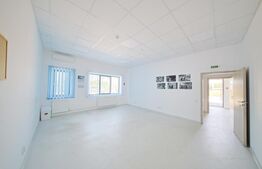 Hala cu cladire birouri, 955 mp, 2850 mp teren, Campia Turzii