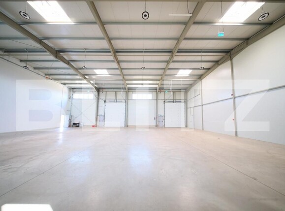 Spațiu industrial de închiriat Câmpia Turzii - 202452SII | BLITZ Cluj-Napoca | Poza9