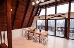 Cabana A-Frame, 195 mp, teren 600 mp, zona Belis