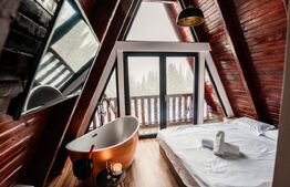 Cabana A-Frame, 195 mp, teren 600 mp, zona Belis