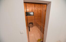 Cabana A-Frame, 195 mp, teren 600 mp, zona Belis