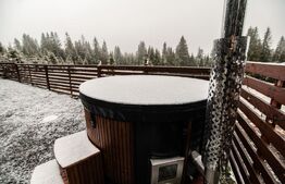 Cabana A-Frame, 195 mp, teren 600 mp, zona Belis